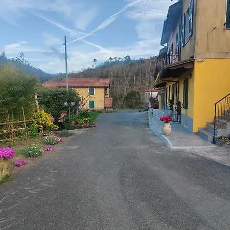 Il Giardino Dei Pavoni *