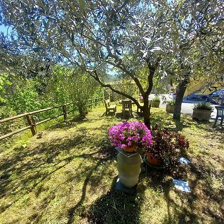 Il Giardino Dei Pavoni ゲストハウス