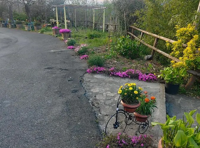 Gasthuis Il Giardino Dei Pavoni 3*