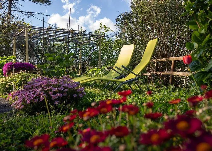 Il Giardino Dei Pavoni Pensionat 3*